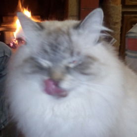 Ольга Д...................