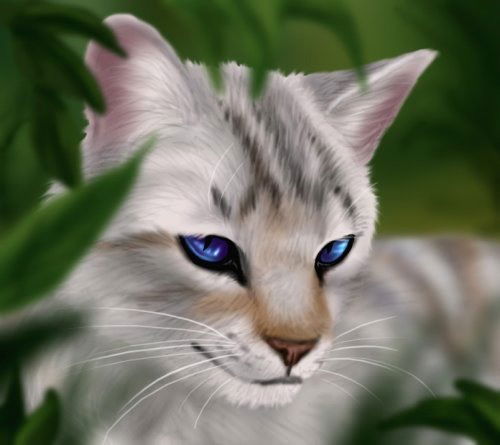 __Свет__ ________