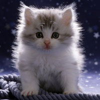 Айгерим Айгерим