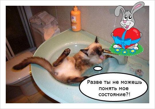 Константин $