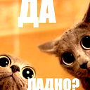 Максим Цыганков