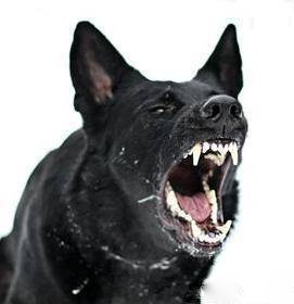 Евгений Гумеров