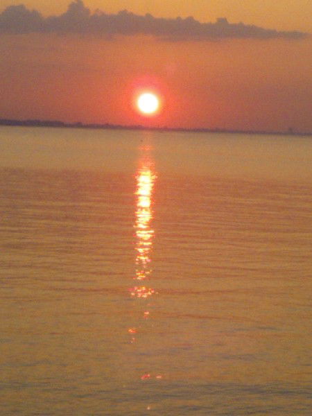 Таня Петраке