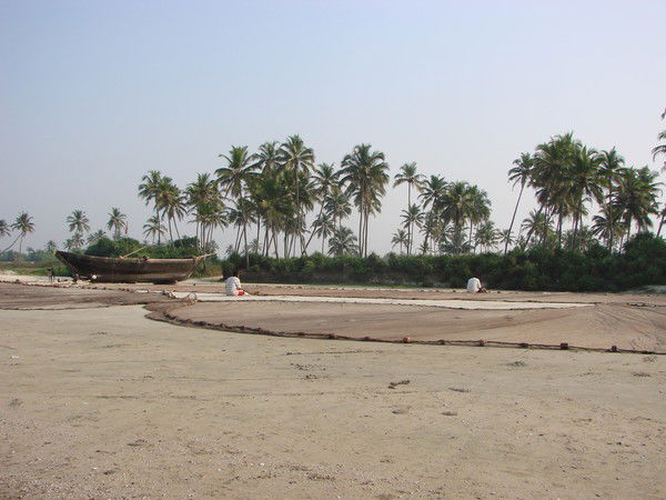 Екатерина Муравьева