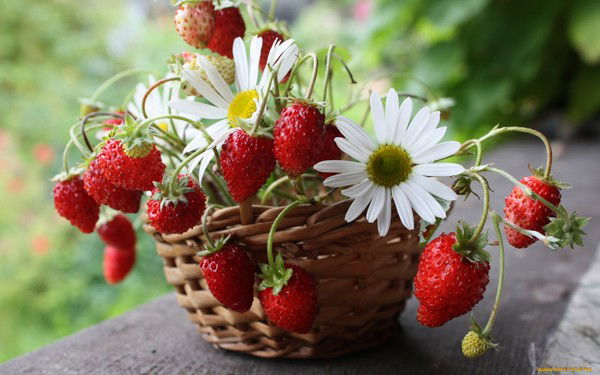 Ирина Киселева