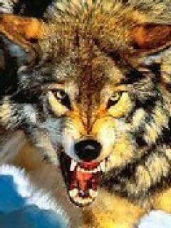 Анатолий Евгеньевич