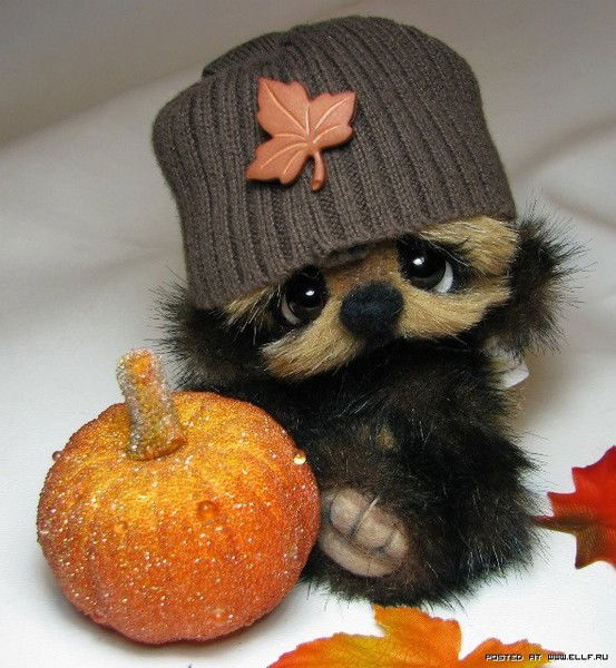 Ольга Щеколюкова