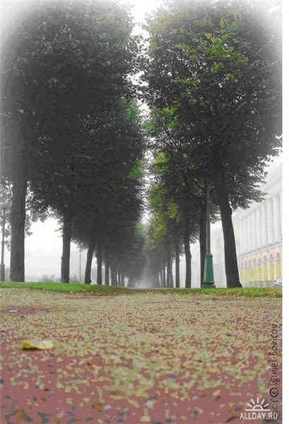 Елена Ковтых