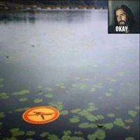 Александр Чевордаков