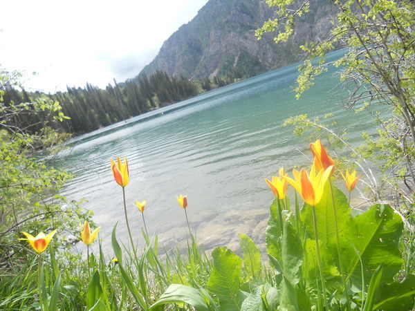 Гульбарчын Кобонова