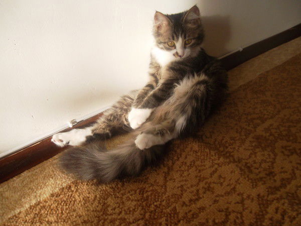 Лера Дудник