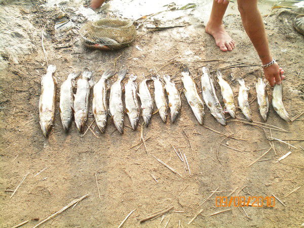 Дарья Ухова