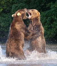 Дима Владимиров