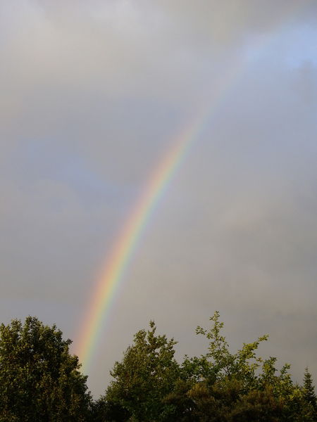 Наталия Новицкая