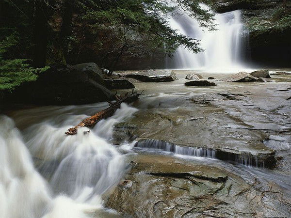 Елена Бондаренко