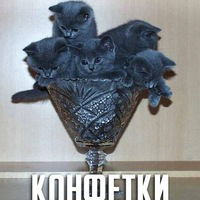 Анастасия Бурдыкина