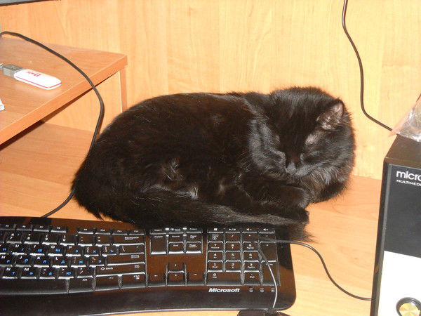 Даниил Радченко