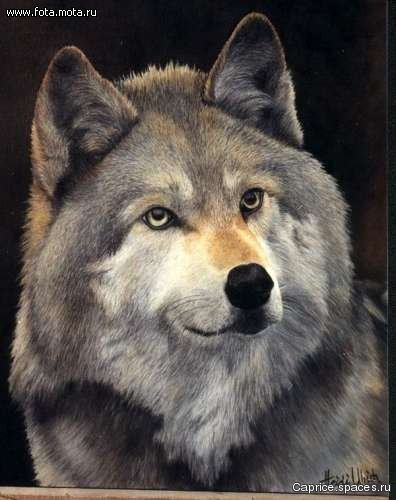 Уля Лукьянова