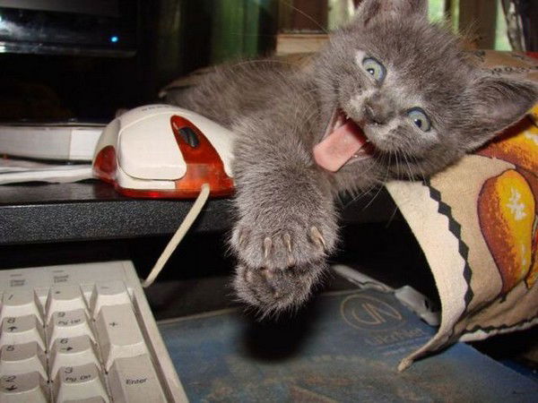 Valentina Passetsnikova