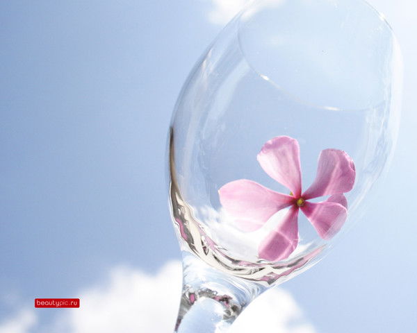 Ольга Короткова