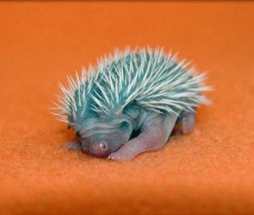 Наталья Матюхина