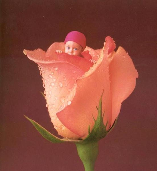 ************* Валянда