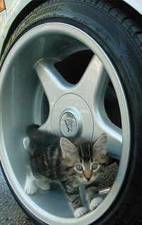 Алексей Рудаков