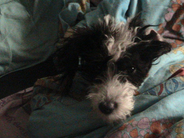 Ирина Краснова