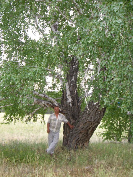 Виталий Кирпичёв