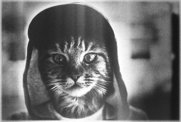 Вася Овечкин