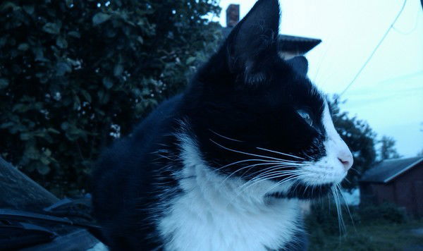 Вячеслав Иванов