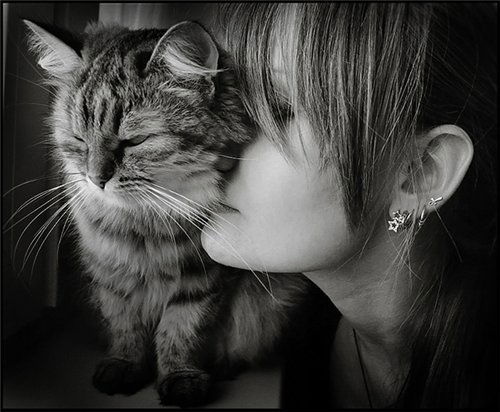 Светлана ***