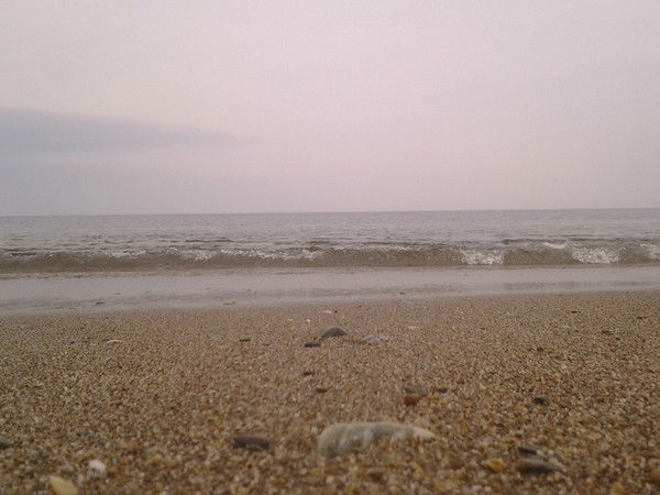 Андрей Попов