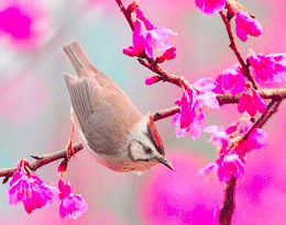 Татьяна Подолян