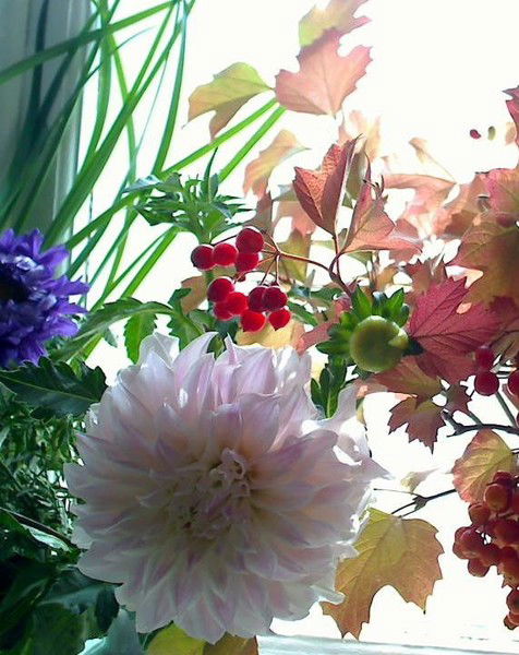 Валентина Корнилова