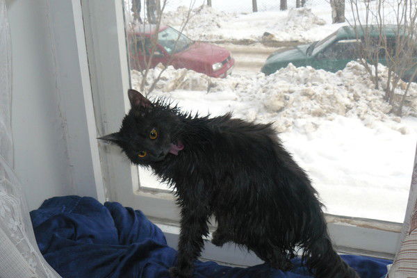 Alex Пппппппппп