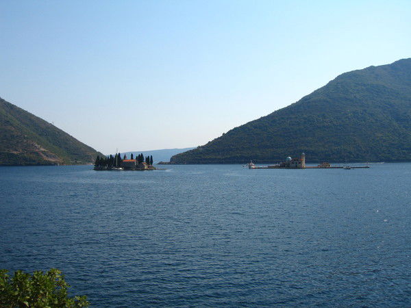 Алексей Павлов