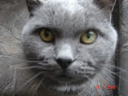 Екатерина Карандеева