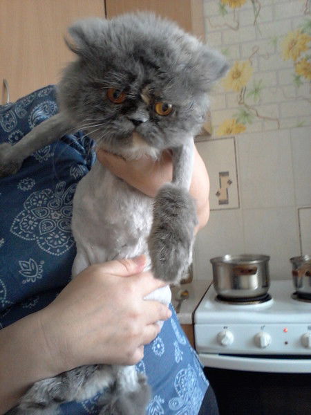 Асхат Шакиров