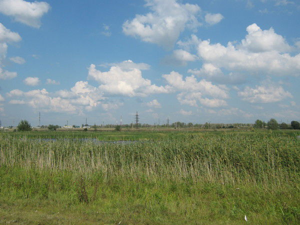 Ольга Шаруева