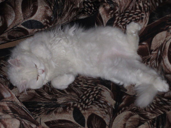 Мария Зозуля