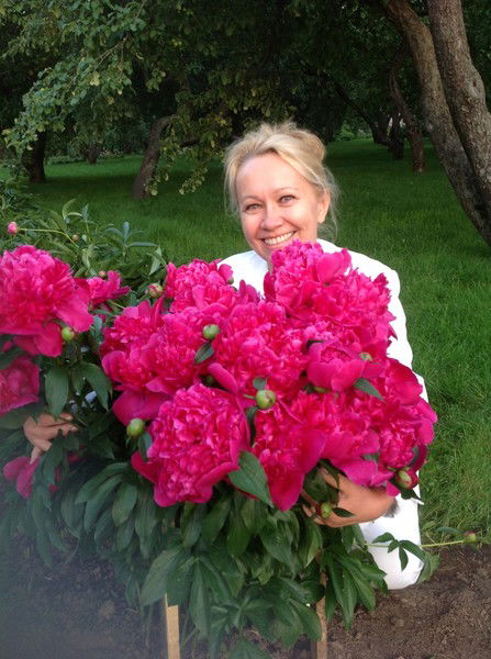 Елена Авдеева