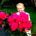 Елена Авдеева