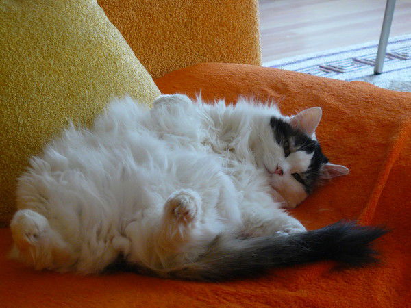 Макар Филиппов