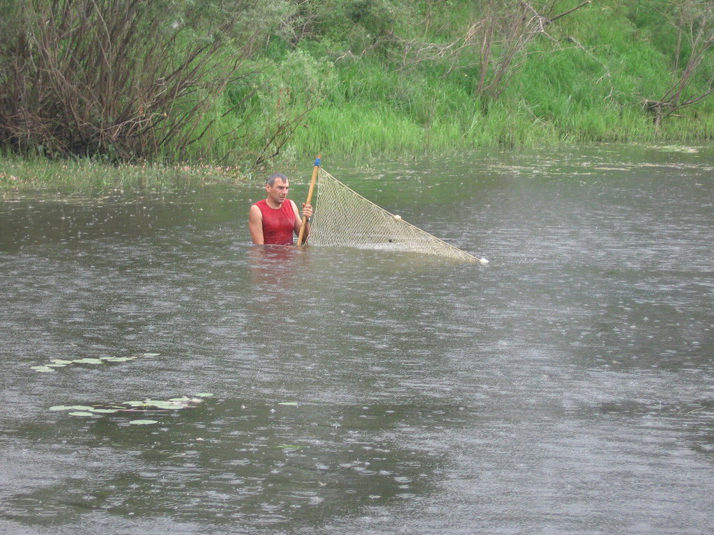 Вячеслав Киселёв