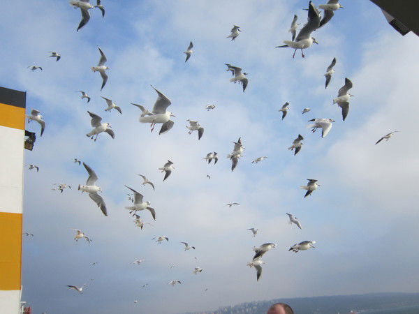 Оксана Григорьева