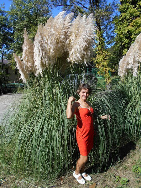 Юля Занозина