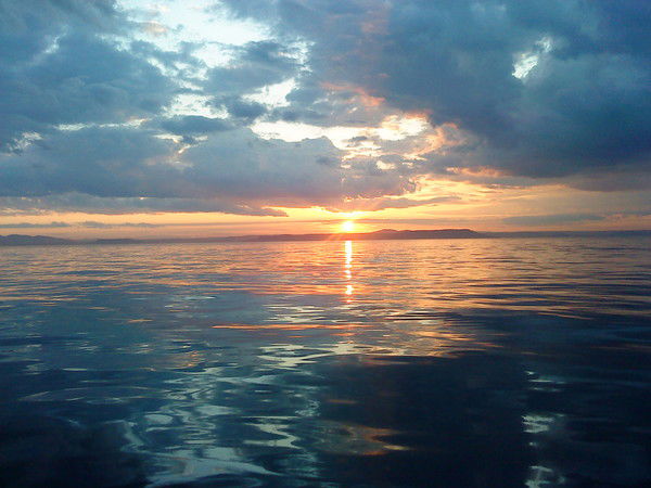 Роман Алмазов