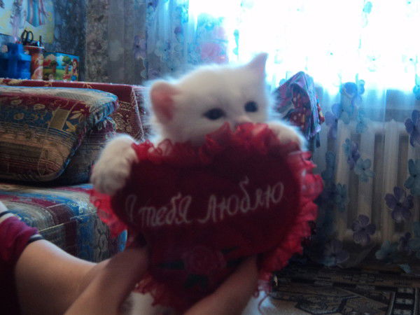 Олеся Тимофеева