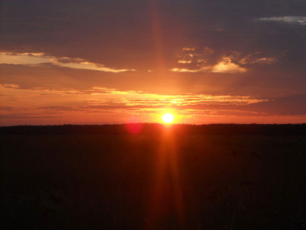 Катя Сорокина